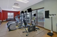 HIlton Garden Inn Detroit/Novi Hotels in Нові
