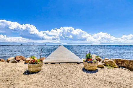 Bearing Drive Escape