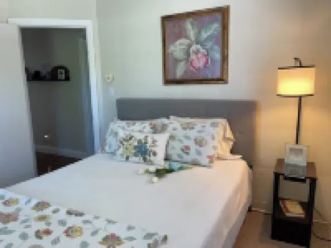 Spring is for Hiking! in Town-Private Hot Tub-2 Bikes-Shawnee National Forest