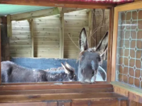 ecurie leseigneur Hôtels à : Bolleville