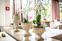 VitalHotel Ascona - breakfast