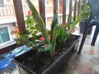 Miramar Lodge Hotels in Pedernales