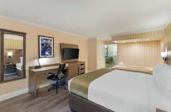 クオリティ イン & スイーツ アナハイム メインゲート アナハイムのホテル