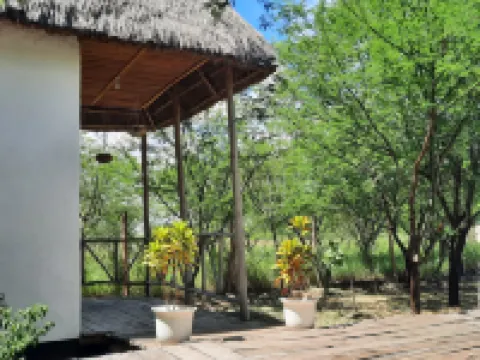 Real African Life Safaris and Camps Hotels in 