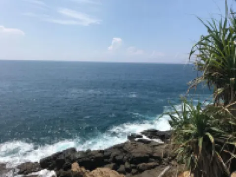 綠葉小屋酒店