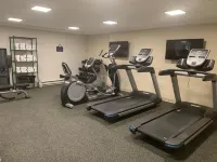 德盧斯米勒希爾購物中心温德姆戴斯酒店 - 健身室/gym room