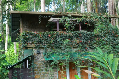 Green Spaces Munnar - Parking
