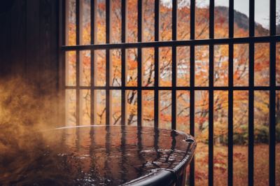 スパ・大浴場 星野リゾート 界 鬼怒川の写真