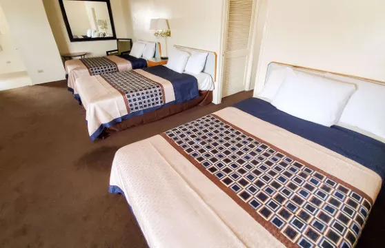 謝拉維斯塔馬格努森酒店