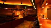 Isawa View Hotel - bar