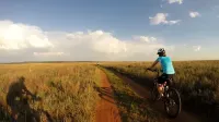 Ezemvelo Nature Reserve - Bintang 2