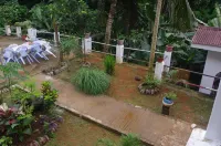 Papaya Guesthouse Hotels in Cascade