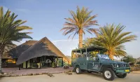 Ai Aiba - the Rock Painting Lodge