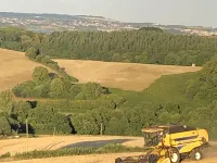 Lower Thornton Farm Hotels in Kenn