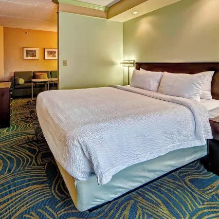 SpringHill Suites Marriott Norfolk Old Dominion University