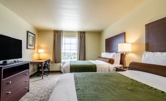 Cobblestone Inn & Suites - Oberlin