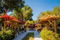 DM 莫索內艾卡酒店 酒店