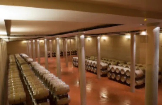 Bodegas Hacienda Albae