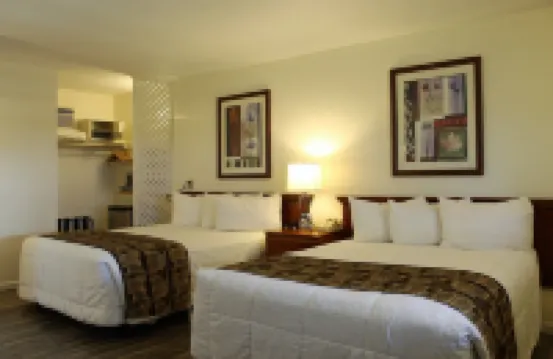 大派因斯山之家酒店