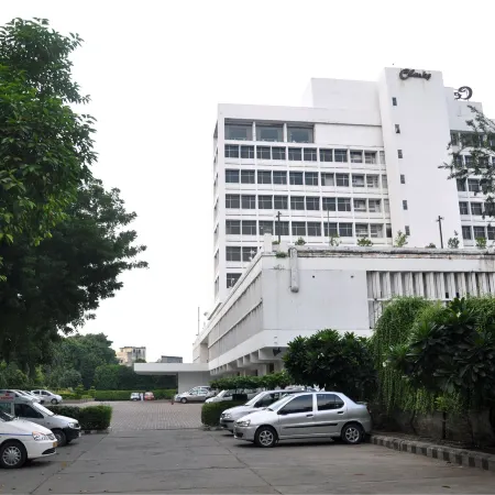 Clarks Avadh