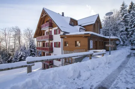 Luxury Apartments Bolf