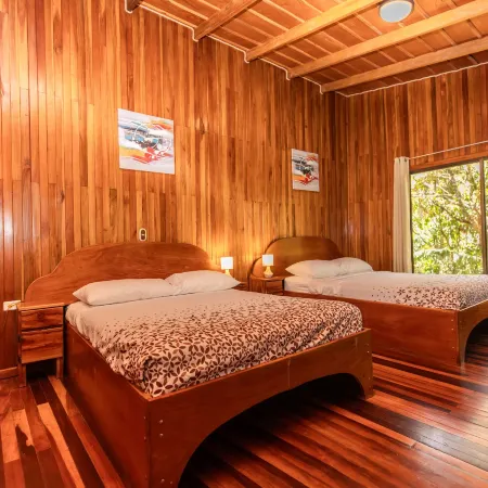 Jaguarundi Jungle Lodge - Monteverde