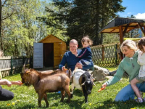 AHORN Hotel Am Fichtelberg Hotels in Oberwiesenthal