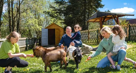 AHORN Hotel Am Fichtelberg Отели рядом с достопримечательностью «Фихтельберг»