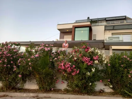 Mavi Panorama Villa Отели рядом с достопримечательностью «Cesme Otobus Terminali»