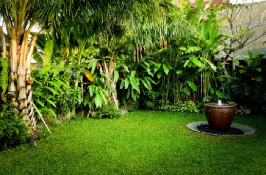 Purana Boutique Resort