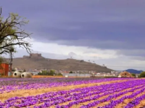 Posada de Los Cónsules Hotéis em La Mancha