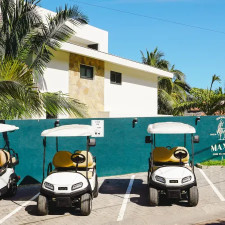 La Puesta Sayulita