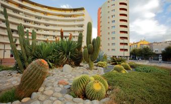 Appart-Hôtel Mer & Golf City Perpignan Centre
