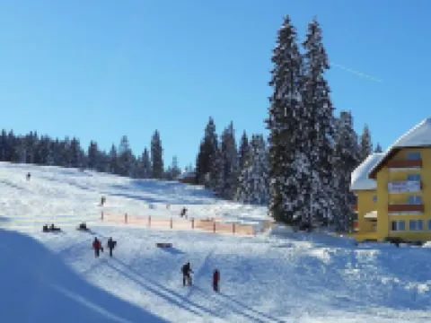 Burg Hotel Feldberg Hotels in Feldberg