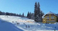 Burg Hotel Feldberg Hotel di Todtnauberg