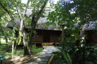 Hotel Nueva Alianza