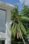 T Loft Hôtels à : Playa Hermosa