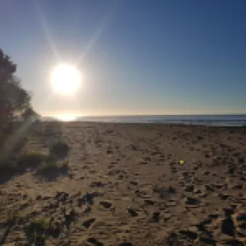Wye Dream - Wye River Beach House - 200 metres to beach!