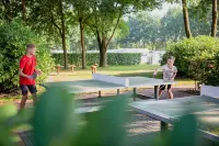 Tiny House in Brabant with Cozy Terrace - piscine