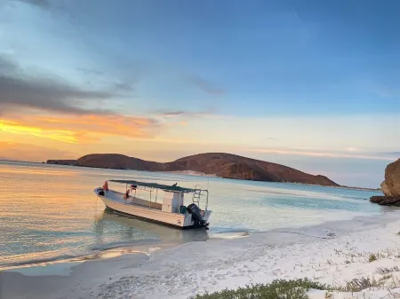 Casitas Vista del Águila/ double bed studio Отели в г. Тодос-Сантос