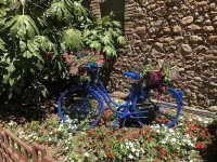 Carrer Del Sol ( in Roussillon, not in Camargue