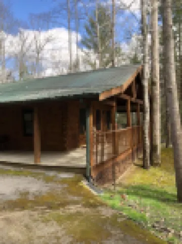 Cabin #1  Cozy and relaxing cabin near Big South Fork
