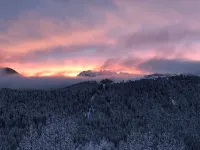 ground floor studio apartment Hotels in Santo Stefano di Cadore