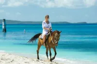 Villa Amazing Ocean View with Private Pool Costa Bella 5 min drive to the beach