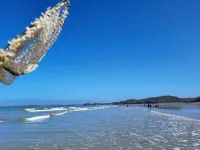 Apart Rdc 2-3-4 People 50m2 Ground Floor+Closed Courtyard of 30m2 100m the Beach