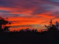 Luxury 1BR Villa I Swimming  pool/garden I Central location I Near Golf Course.