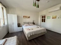 Kalidna - pet friendly