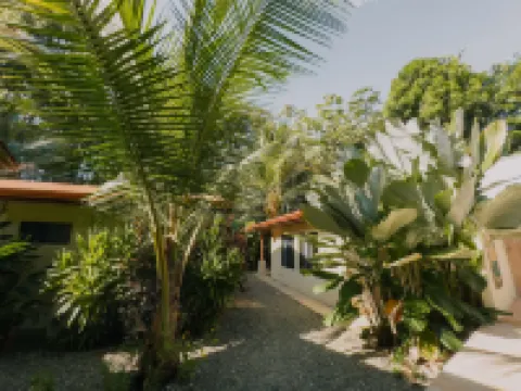 Tropical Beach Hotels in 