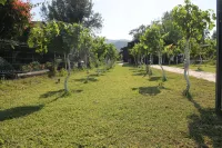 Sakin Vadi Winehouse - Bed and Breakfasts