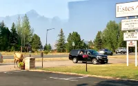Estes Mountain Inn - Motels